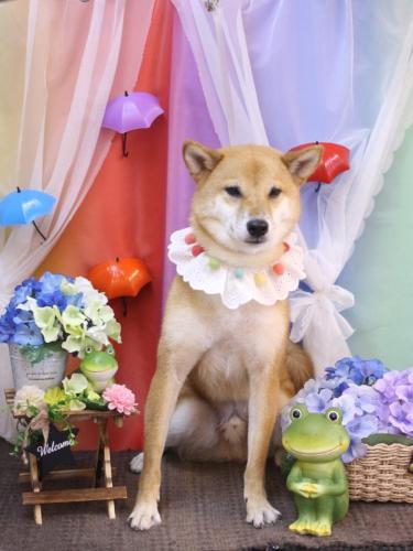 20230621シュウくん